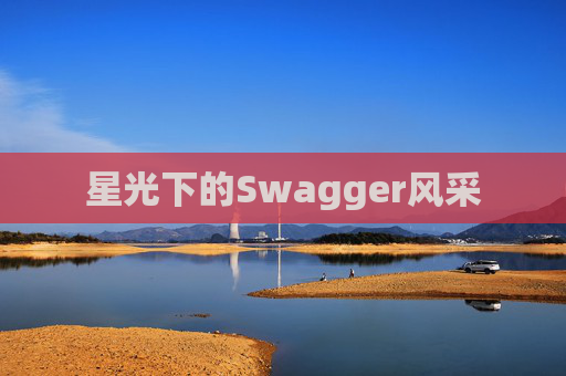 星光下的Swagger风采